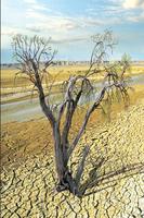 Global Warming ภาพหน้าจอ 2