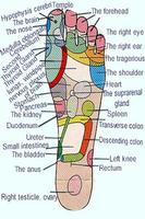 Acupressure imagem de tela 1