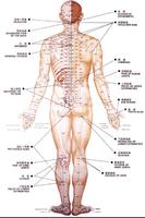 Acupuncture capture d'écran 3