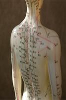 Acupuncture Ekran Görüntüsü 1