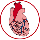 Arytmia serca aplikacja