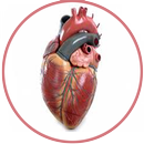 kardiomiopatia aplikacja