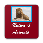Nature and Animals Wallpapers Always New icône