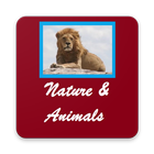 Nature and Animals Wallpapers Always New 圖標