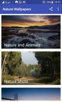 Nature and Animals Wallpapers Always New 海報