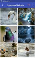 1 Schermata Nature and Animals Wallpapers Always New