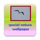 Special Nature Wallpapers APK