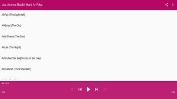 Juz Amma Recitation by Shaikh Hani Ar Rifai পোস্টার