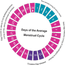 Ovulation Calculator and  App APK