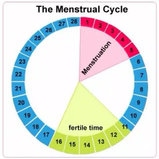 Online ovulation calculator Aterinakunto