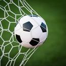 Football 24 - Live Score APK