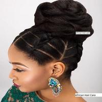 African Natural Hair Styles Affiche