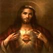 Catholic daily devotional