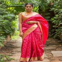 Pochampally Sari Fashion Style Affiche