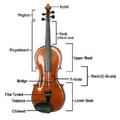 Violin Lessons app
