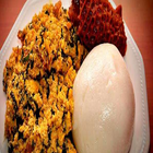 Nigeria Special Recipes icon