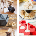 Icona Pet Supplies App