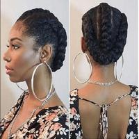 Dutch Braids Hairstyles. 截图 3