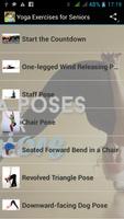 Yoga Exercises for Seniors poster