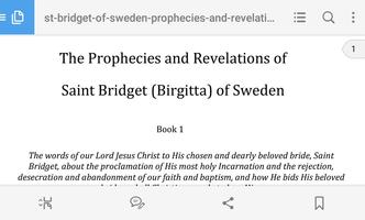 Saint Bridget: Revelations capture d'écran 1