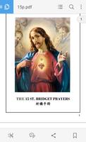 15圣布里奇特的祷告 截圖 1