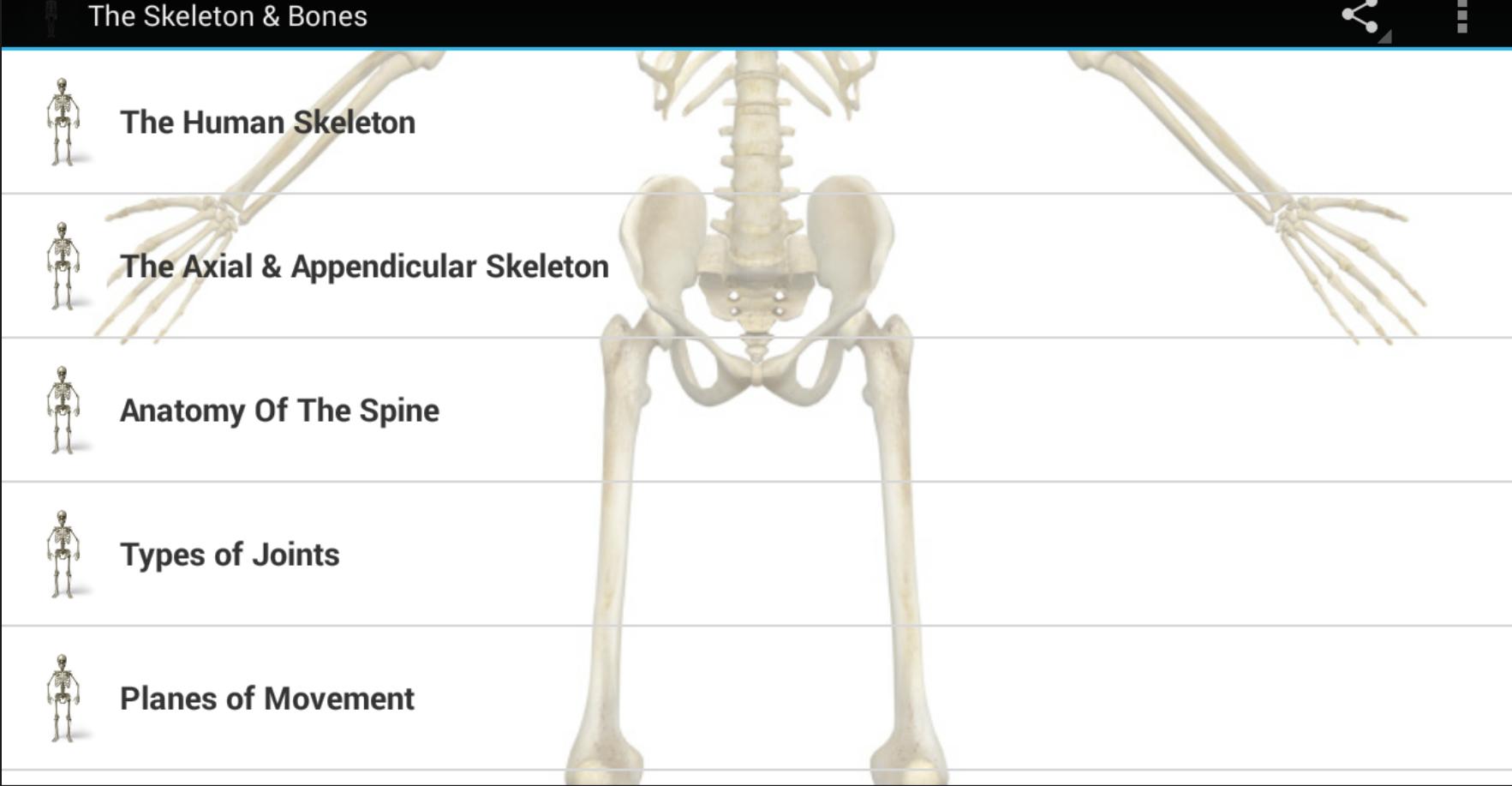Bone bone играть. Кости скелета для игры. Скелет сценария. Скелет колода Bones. Скелет меню.