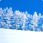 Winter Snow Live Wallpapers-icoon