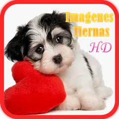 Imagenes Tiernas APK download