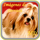 Imagenes de Perritos HD APK