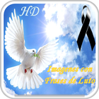 Imágenes con Frases de Luto أيقونة