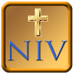 NIV Study Bible