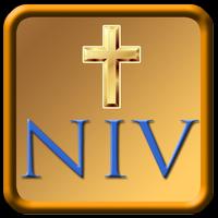 NIV Study Bible-poster