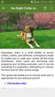 Dog training poster