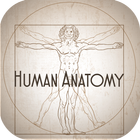 Human Anatomy أيقونة