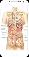 Human Anatomy capture d'écran 3