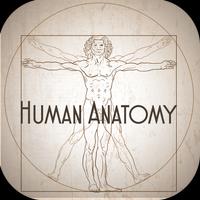 Human Anatomy Affiche