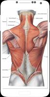 Human Anatomy تصوير الشاشة 1