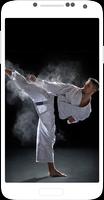 Karate Shotokan capture d'écran 3