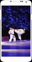 Karate Shotokan capture d'écran 1