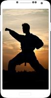 Karate Shotokan capture d'écran 2