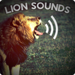 Lion sounds