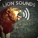 Lion sounds APK