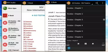 NIV Audio Bibel kostenloser Download