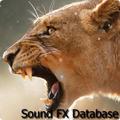 Lion Roar 2