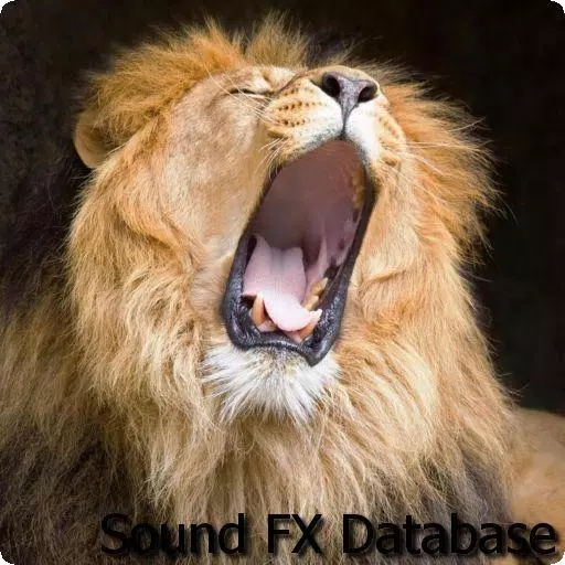 Real Lion Roar Sound Effect, Latest