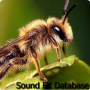 Insects Sounds APK