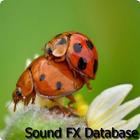 Insects Sounds 2 أيقونة