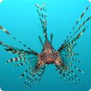 Fish Sounds APK