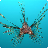 Fish Sounds