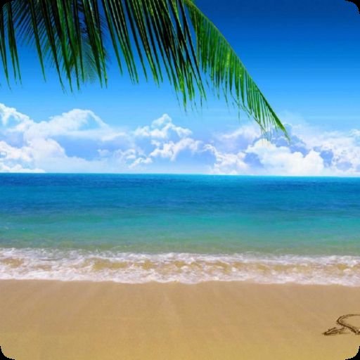 Beach Sounds APK for Android Download